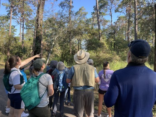 Bird Survey and Nature Hike at Jesse Jones Park